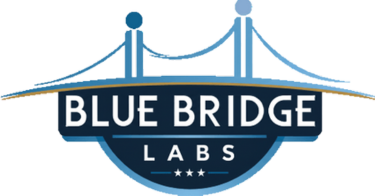 Blue Bridge People Logo